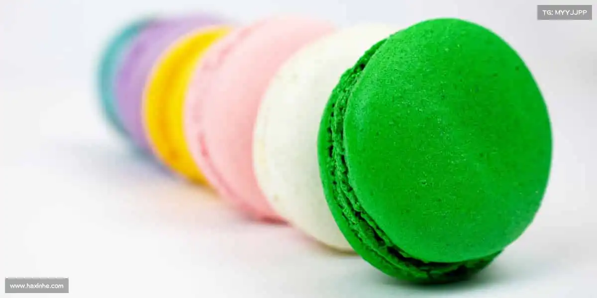 <strong>星空综合</strong>💪每一次挥汗，都是对自我的超越！来这里，开启你的蜕变之旅～